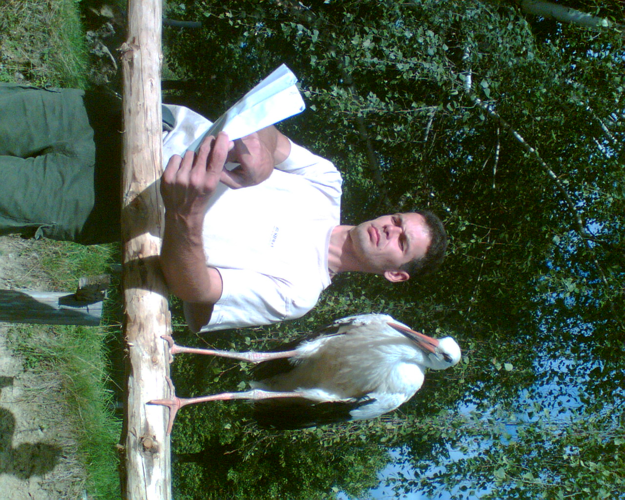 Bocian pišta.jpg